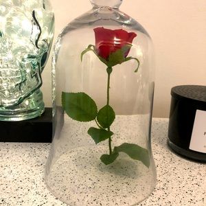 Handmade Beauty and the Beast Enchanted Rose Decoration